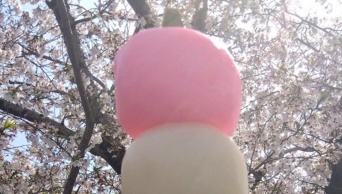 規格外な〝超巨大三色団子〟に20万人驚がく　「もはや鈍器」「魔法少女が使うステッキサイズ」