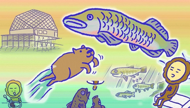 アレな生態系日常漫画「いぶかればいぶかろう」第42回:淡水魚がいっぱい!栃木県のなかがわ水遊園に行ってきたよ!