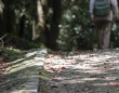 通いなれたはずの病院へ行く途中、道に迷った母。助けてくれた青年にお礼を伝えに行ったのに...（愛知県・50代女性）