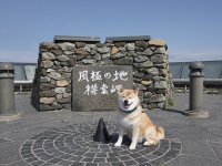 柴犬まるのフェリーで行く北海道10日間の旅【前編】