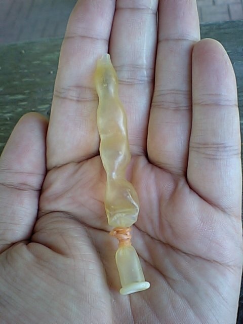 食後のバクダンキャンディーのゴム製容器（Chen4さん撮影、Wikimedia Commonsより）