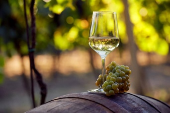 地球温暖化でワインの味が化学的に変わりつつある