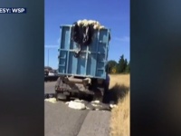 トラックの荷台に積んだパン生地が発酵、高速道路にあふれ出る・・・