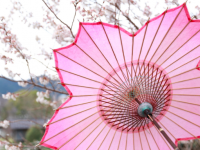 桜の花びらがモチーフ。開くとぱっと花が咲く「桜和傘」が4月1日より販売開始