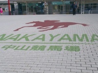 これは中山競馬場