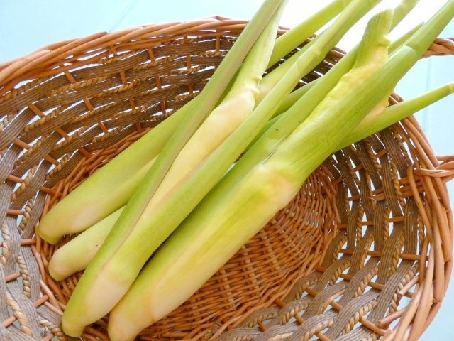 これがマコモタケ