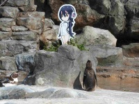 グレープくんの想いは届くか（東武動物公園提供）