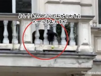 あの人なら返してくれそう。バルコニーから通行人にボールを落として遊んでもらおうとする犬