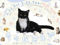 かっわいい!!!　SNSで話題のスター猫が集結する「ねこ休み展」開催