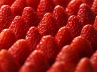 みずみずしい紅ほっぺ