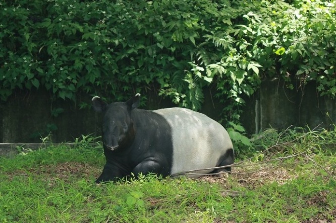 大人になるとこうなります