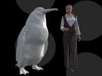 現世で出会いたかった。巨大サイズのペンギンの化石が発見される（ニュージーランド）