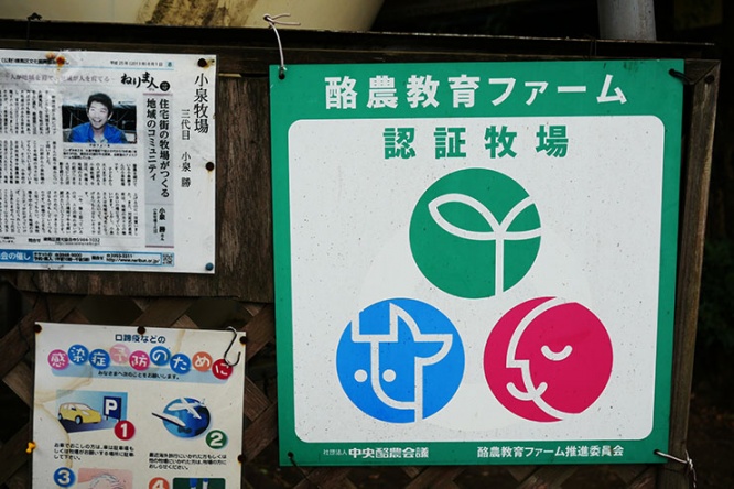 koizumi5
