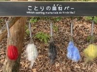 森の中で発見された〝小鳥のためのBAR〟に3.2万人注目　「こういうの和む」「絵本の世界かよ」
