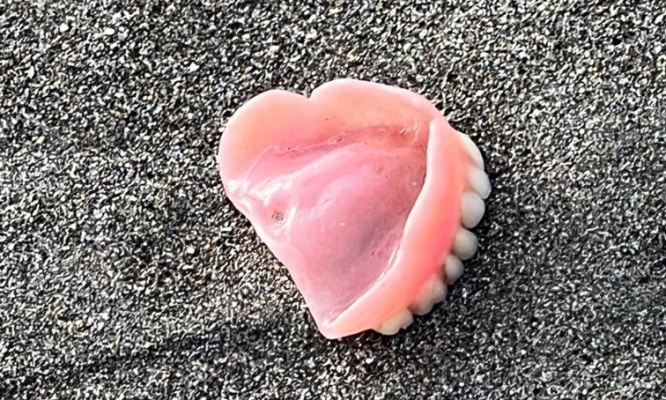 何故こんな場所に？ 海辺で発見された「怖すぎる落し物」がこちらです