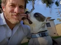 「世界ってこんなにステキだったんだ！」元の飼い主に捨てられたピットブル、新しい飼い主と共に初めての秋と冬を満喫する