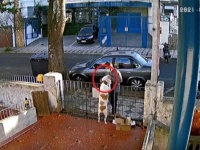 犬の服を無理やり脱がせて持ち去った人、それを知り犬の服を買い、着せに来る人