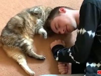 猫と飼い主のラブラブな関係に癒されたい！「ノーキャットノーライフ」を地で行く日常的風景の一コマたち