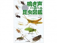 『鳴き声から調べる昆虫図鑑』（文一総合出版刊）