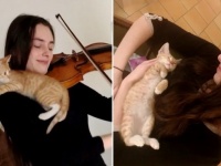 保護された子猫、バイオリニストが仮里親になったところ、バイオリン大好き猫に！（フランス）
