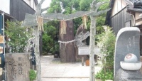 鳥取のおすすめデートスポット＆観光地15選　砂丘以外にもみどころたくさん！ 【カップル向け】