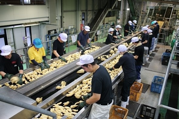 1ラインあたり8人のチェック体制を敷いている