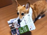 「はいよ！お届け！」　賢すぎるワンコが新聞配達→お渡しの瞬間は勢い余って...