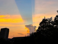 夕焼けと蒼天...くっきり〝割れた〟空の色に9.1万人感動　「んだこれ美しすぎ」「名前を知れて嬉しい」
