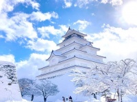 神々しいとはまさにこのこと！　屋根も石垣も真白に染まった「吹雪の合間の鶴ヶ城」が美しすぎる