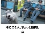 3秒で吹き出す！職場で読んではいけない動物のボケて11選