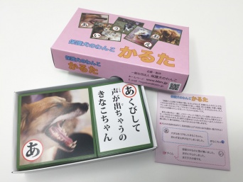 一般社団法人 保護犬のわんこのプレスリリース画像