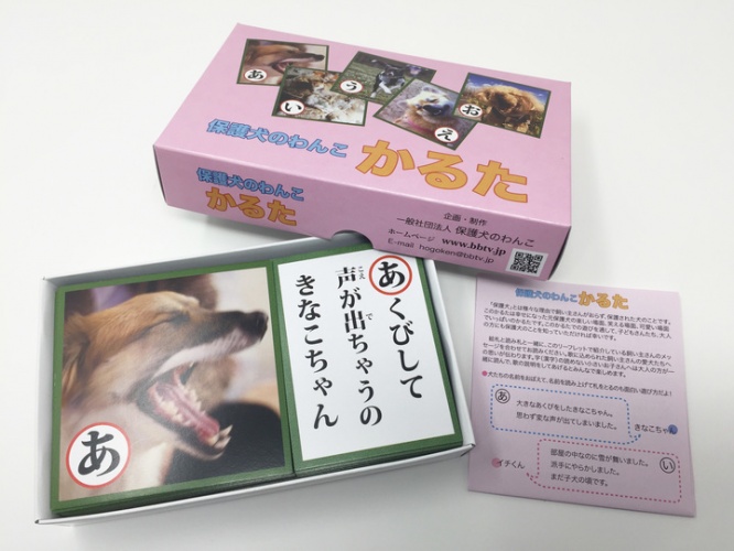 一般社団法人 保護犬のわんこのプレスリリース画像