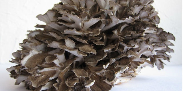 「Doctors Me（ドクターズミー）」コラム画像