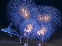 夜空をクジラが泳いでる！　大輪の花火×ドローンショー、新時代の空中アートは迫力バツグン