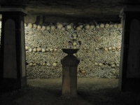 ホラーな噂話が絶えない、世界で最も恐ろしいとされる14の場所（※ヘビ出演中）