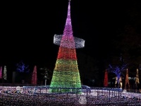宇宙船が降りてきたイメージのメインツリー（写真は、宮崎市フェニックス自然動物園管理提供）