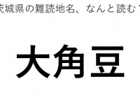 ヒント：さ○○