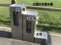 工夫とアイデアで問題解決。毎日を楽しく暮らしやすくするための14のライフハック
