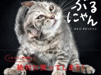 猫たちの“ぶるぶる姿”をとらえた写真集「ぶるにゃん」新発売！