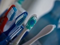 画像はイメージです