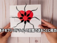 マウスの精子をフリーズドライしてハガキや封筒で郵送することに成功。精子輸送に革命（日本研究）