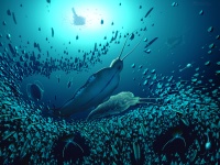 5億1800万年前を生きた世界最古の巨大な海洋捕食動物が発見される