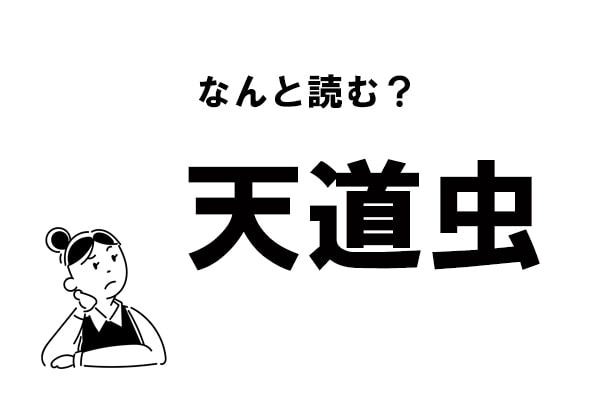 【難読】“てんどうむし”ってなに？ 「天道虫」の正しい読み方