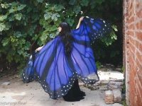 蝶の羽ケープ　大（ブルー）1万9440円