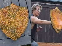 パイナップルの皮の耐熱性がすごかったので、耐火シールドを作って炎を受けてみた