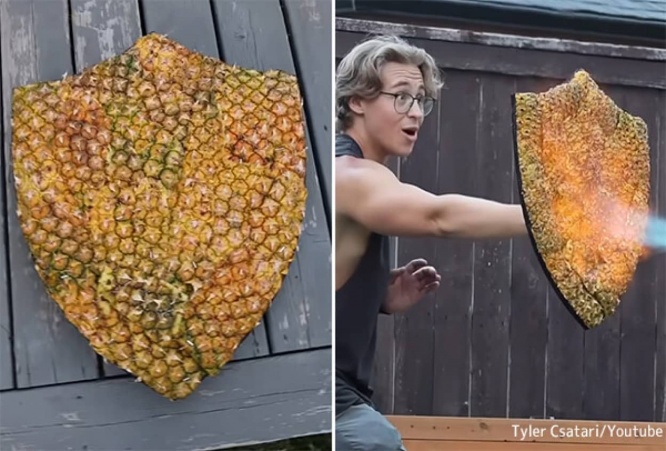 パイナップルの皮の耐熱性がすごかったので、耐火シールドを作って炎を受けてみた