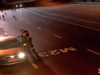 検問してたら狼の群れが向かってきた！危機一髪、車の中に避難して事なきを得たおまわりさん