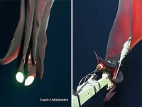 腕を光らせながらカメラを襲う深海イカの衝撃映像