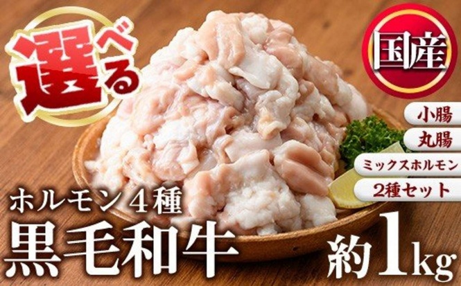 鹿児島県 日置市「＜4種から選べる＞国産！黒毛和牛ホルモン(ミックスホルモン計1kg/上ホルモン計1kg/丸腸計1kg/ミックスホルモン＋小腸合計1.1kg)」8,000 円（ふるさとチョイスより）