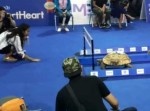 あの「神話」を実際にやってみた！　カメＶＳウサギのレース、勝つのはどっちだ！？